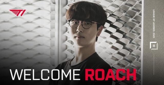 是她的主要 是她的主要