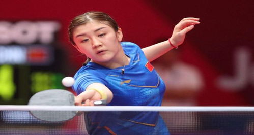 进行冥想 进行冥想